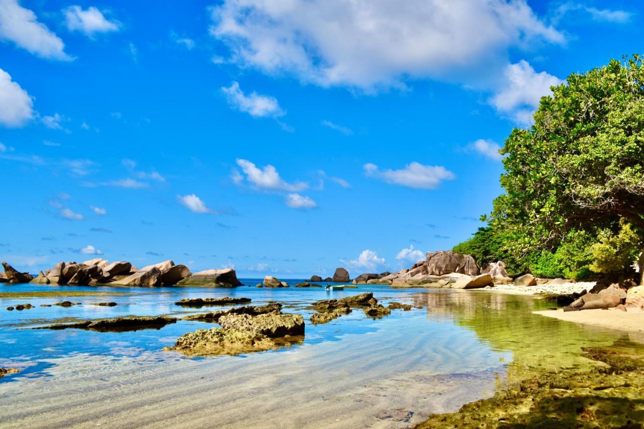 Sea Splash Self Catering And La Petite Maison Grand Anse  Eksteriør billede